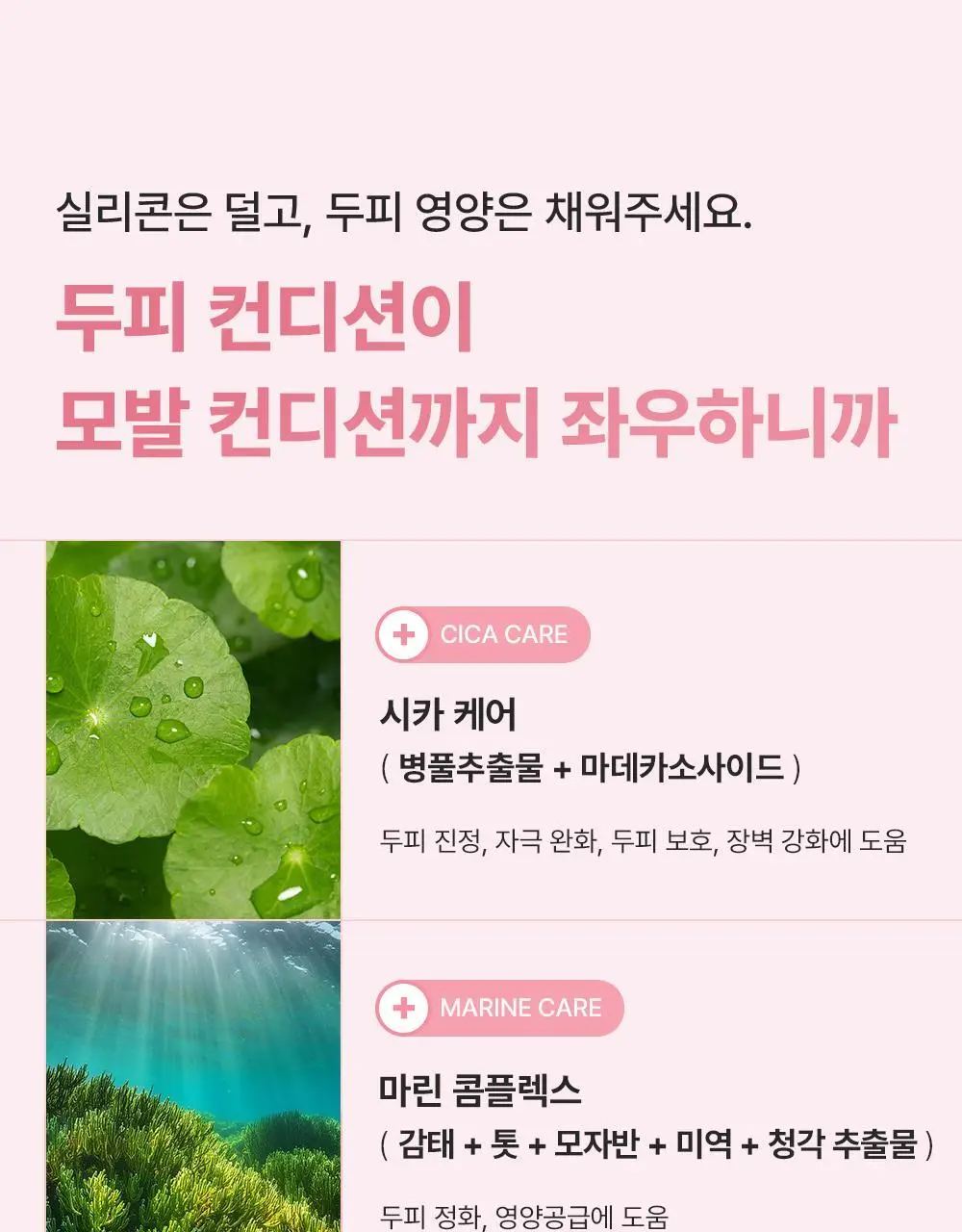 [올영단독/미니쿠션브러쉬증정] 제니하우스 인텐시브 노워시 엔젤링크림 150ml 기획/단품 상세페이지 22